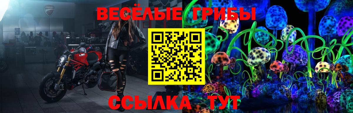Дубна  Псилоцибиновые грибы Magic Shrooms  Вход с VPN 